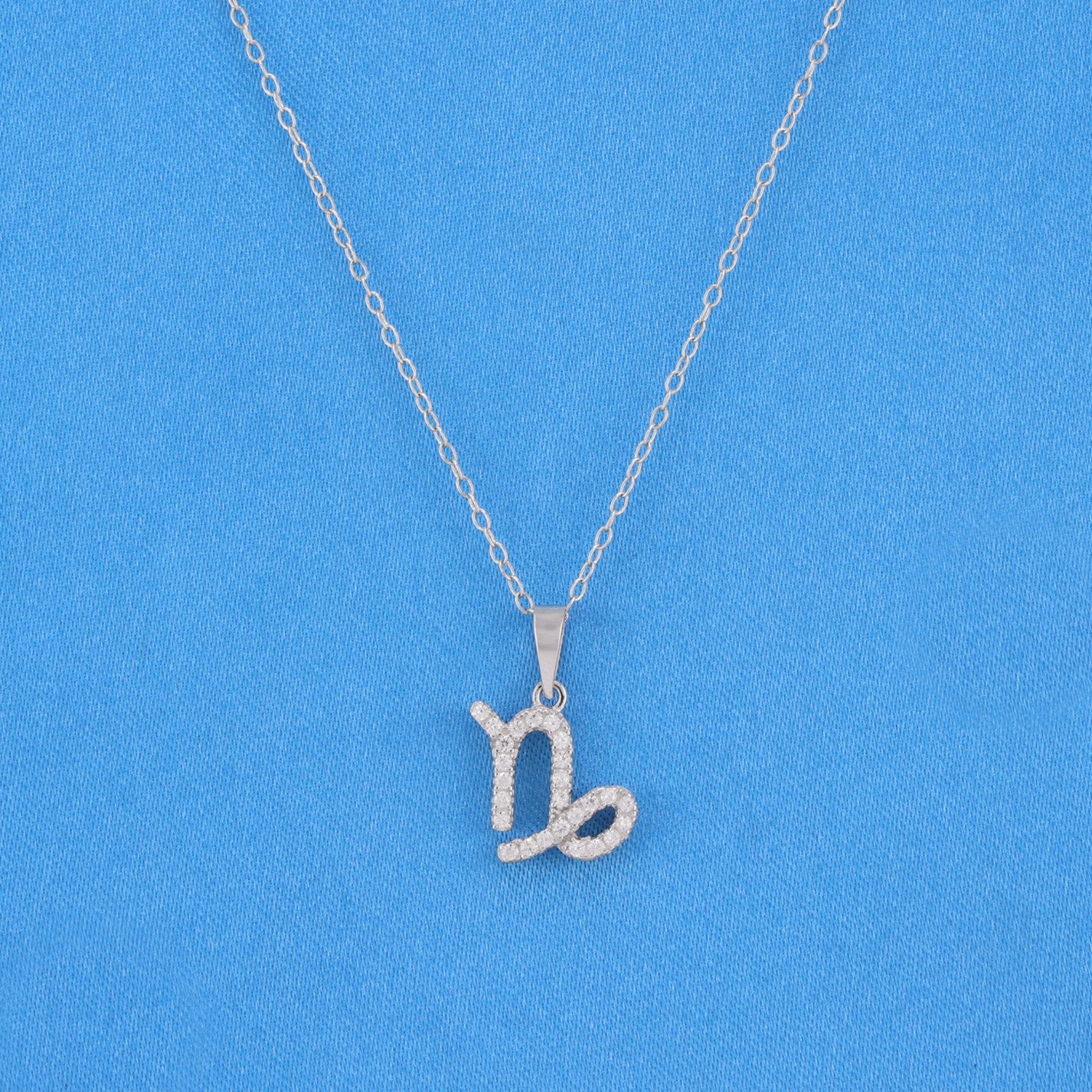Zodiac Sign Capricorn Necklace - 925 Silver